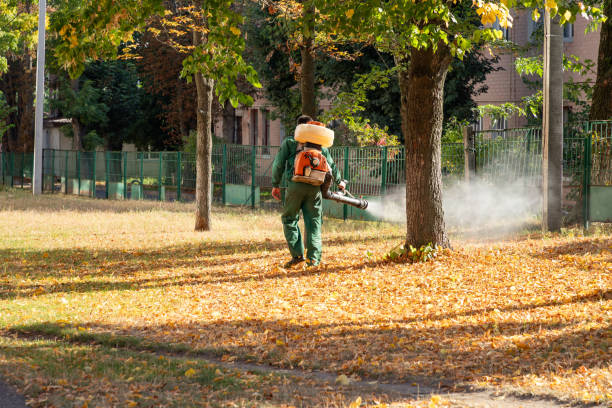 Wildlife Control Services in Chester, CA