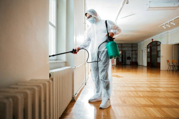 Best Affordable Pest Control Services  in Chester, CA