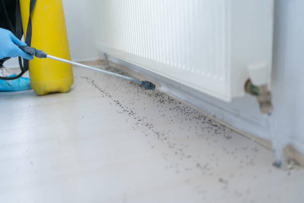 Best Pest Prevention Services  in Chester, CA