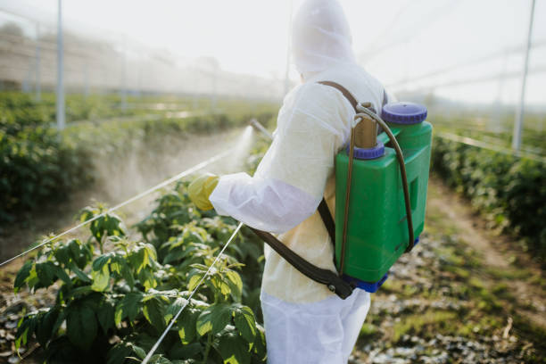 Best Pest Control Near Me  in Chester, CA